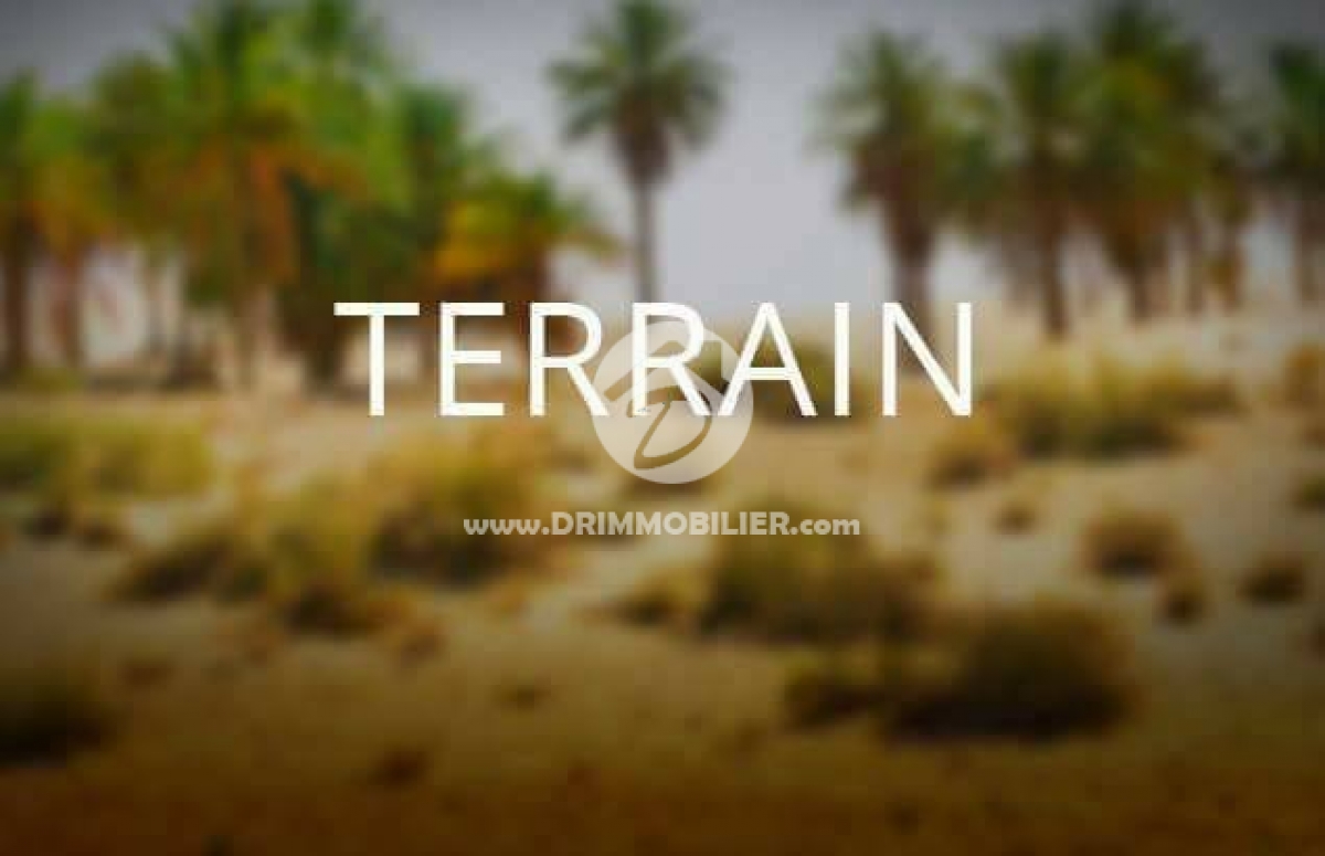 V 111 -   Terrain Djerba